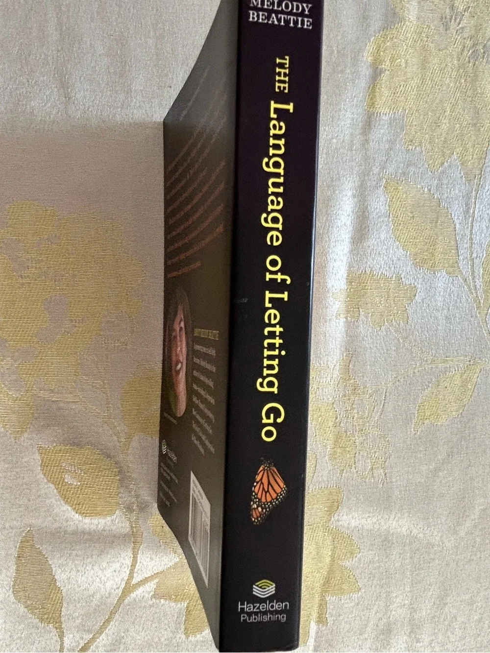 Melody Beattie language letting